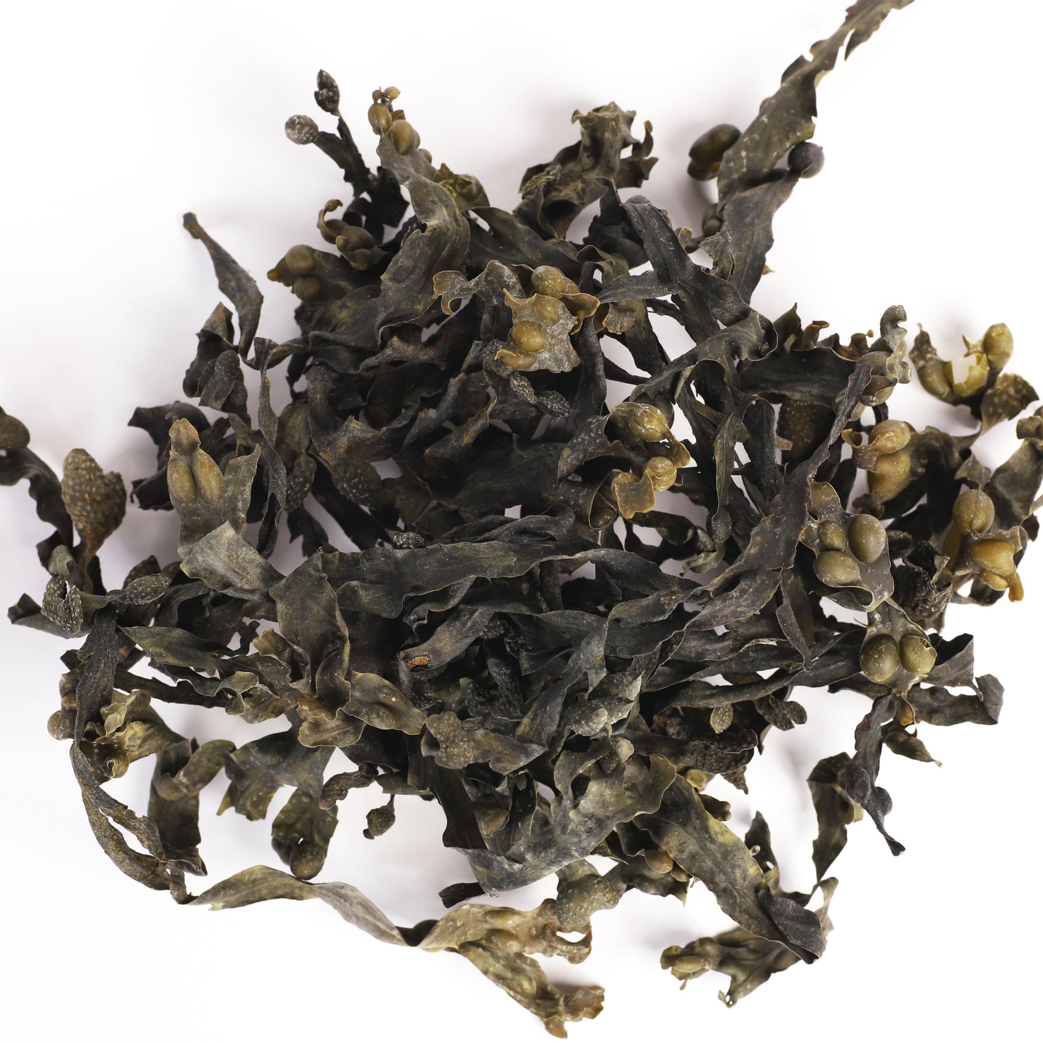 VITAMINSEA Bladderwrack Dried Seaweed | Wild North Atlantic Seaweed for Snacking, Seasoning, Soups & Salads | Rich in Vitamins, Minerals