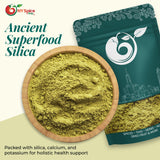 NY Spice Shop Horsetail Shavegrass Powder - 1 Pound Horsetail Shavegrass Ground Herbal Ingredient - Traditional Equisetum Arvense - Mild Plant