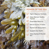 VITAMINSEA Bladderwrack Dried Seaweed | Wild North Atlantic Seaweed for Snacking, Seasoning, Soups & Salads | Rich in Vitamins, Minerals