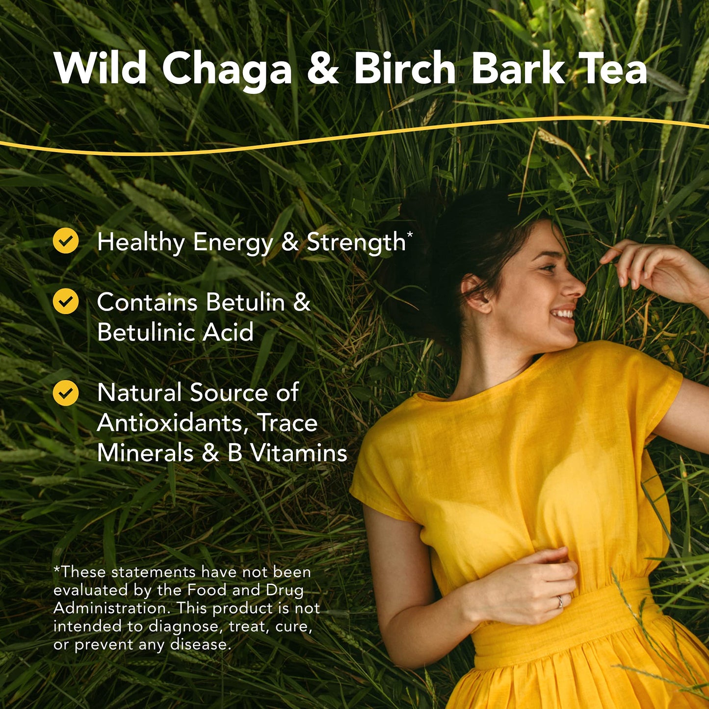 North American Herb and Spice, Chag-o-charge, Wild Forest Tea, 3.20-Ounce
