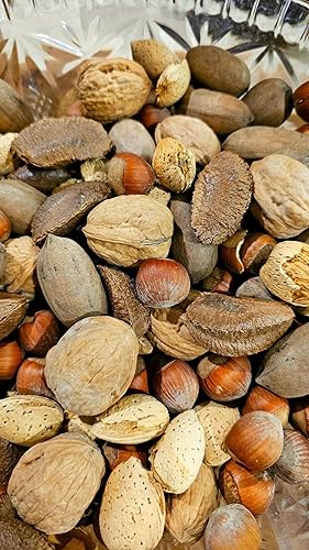 California Fresh Raw In-shell Whole Mixed Nuts (4)