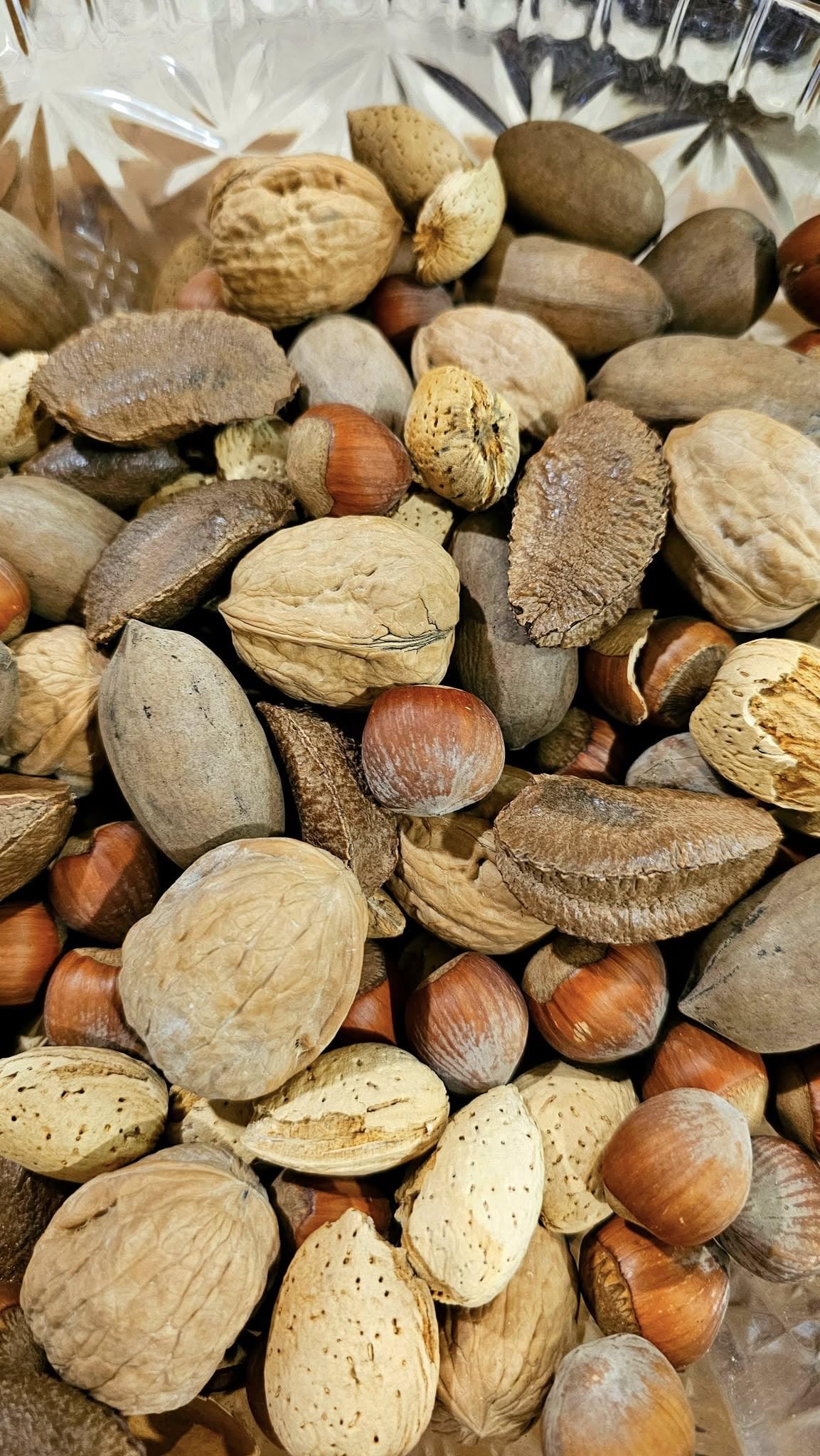 California Fresh Raw In-shell Whole Mixed Nuts (3)
