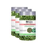 Blessfull Healing Organic Cilantro Leaves 100 Gram (3.52 oz) Each (Pack Of 3) = 300 Grams, Vegan