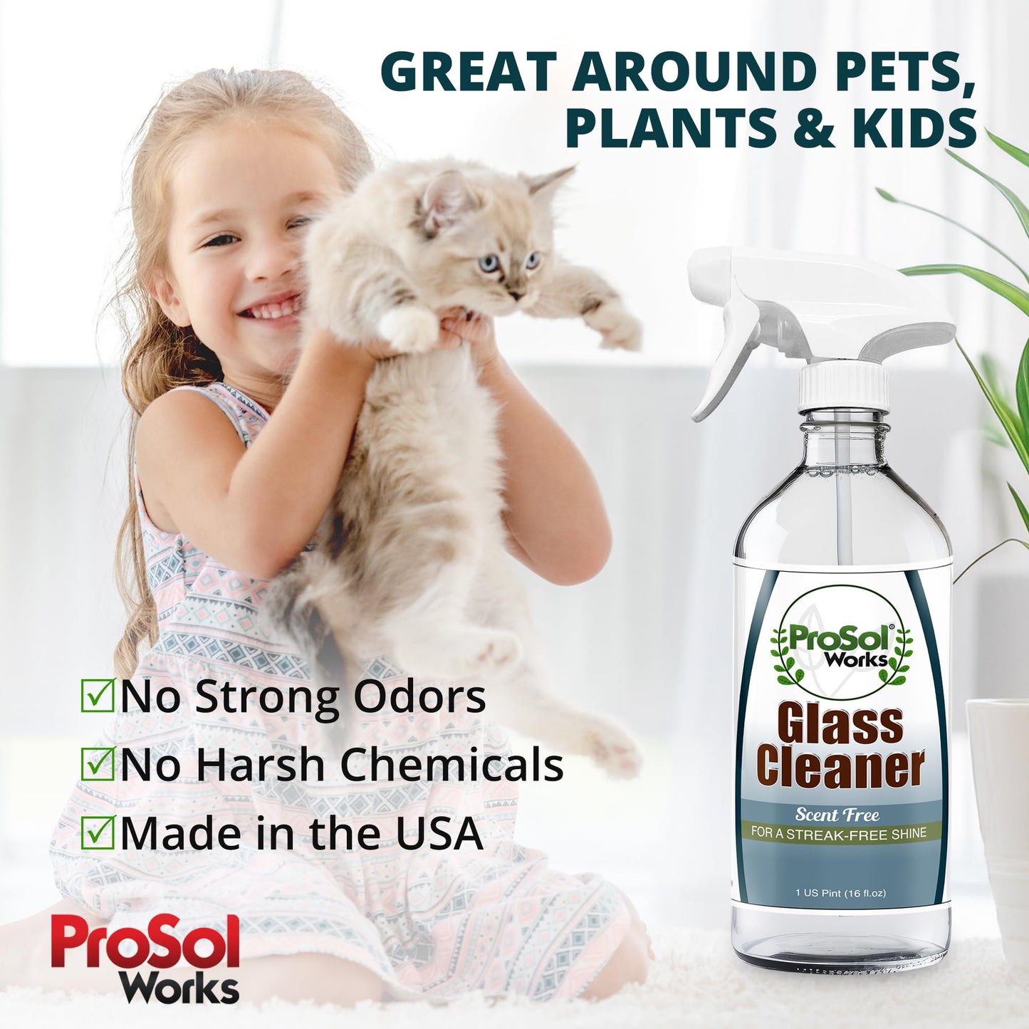 ProSol Works Glass Cleaner 16 oz - All Purpose Cleaning Spray for Glass Doors & Windows, Mirrors & Chrome Surfaces - Glasses Spray Helps Remove