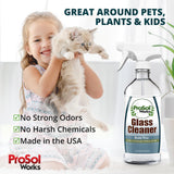 ProSol Works Glass Cleaner 16 oz - All Purpose Cleaning Spray for Glass Doors & Windows, Mirrors & Chrome Surfaces - Glasses Spray Helps Remove