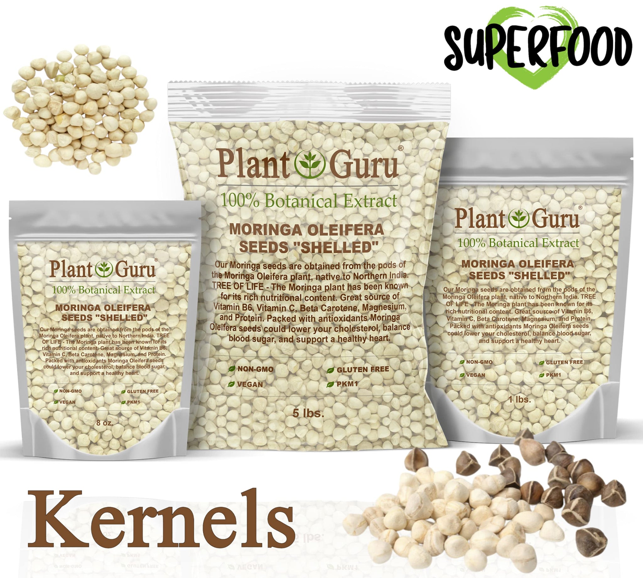 Moringa Seeds Kernel Shelled 16 oz. / 1 lb. - Clean PKM1 Variety - Edible - Moringa Oleifera - Malunggay - Semillas De Moringa - Drumstick Tree
