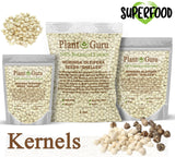 Moringa Seeds Kernel Shelled 4 oz. - Clean PKM1 Variety - Edible - Moringa Oleifera - Malunggay - Semillas De Moringa - Drumstick Tree - Non-GMO - 500