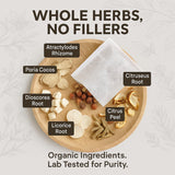 Herb Guru Fluid Balance Herbal Tea Bags - Healthy Fluid Metabolism & Digestive Balance with Atractylodes, Poria, Citrus Peel - Caffeine Free Tea, 0.88