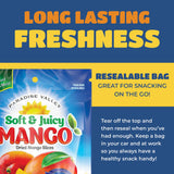 Dried Mango Slices - Delicious Texture Soft & Juicy Low Sugar Added Dried Mango - Naturally Ripened Mangos Dried Fruits - Gluten Free Dry Mangoes