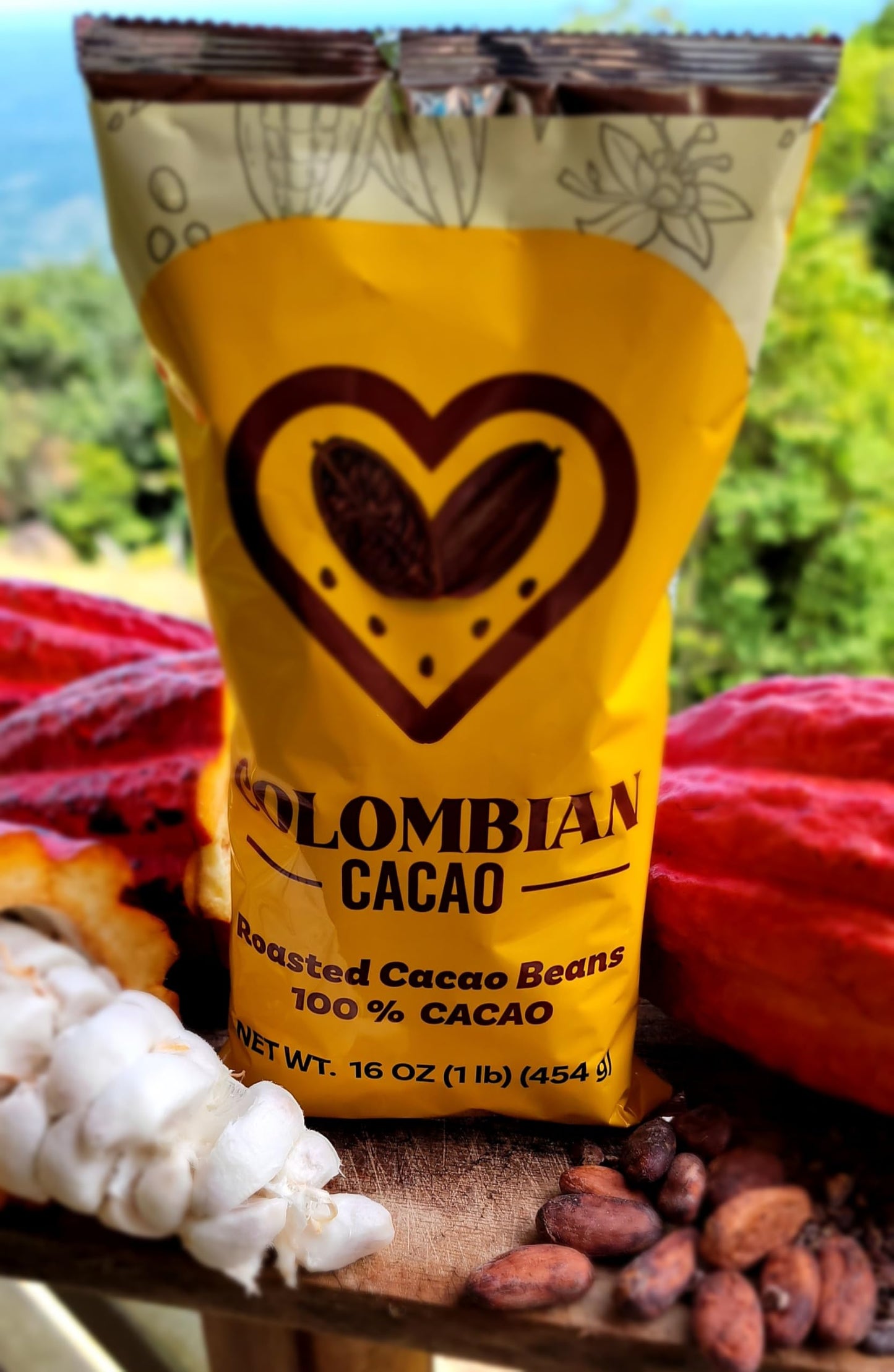 Roasted Cacao - 100% Natural, Single-Origin Colombian Cacao | Rich Chocolate Aroma | Ideal for Snacking, Baking & Hot Drinks (16 oz)