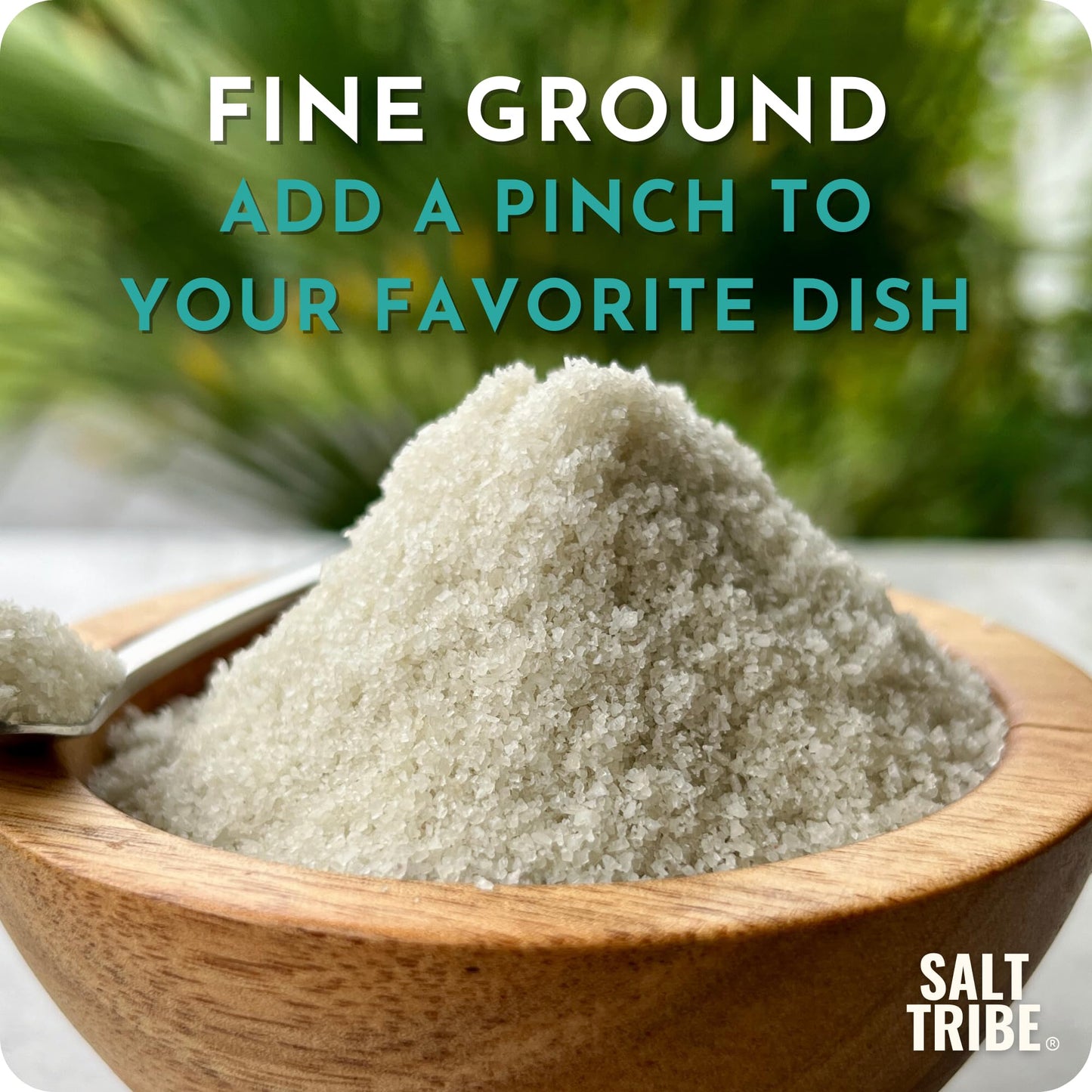 Salt Tribe French Grey Sea Salt | Fine Ground | 82 Minerals | Hand Harvested Brittany France | Low Sodium Unrefined | Sel Gris | Sal Organica | Single