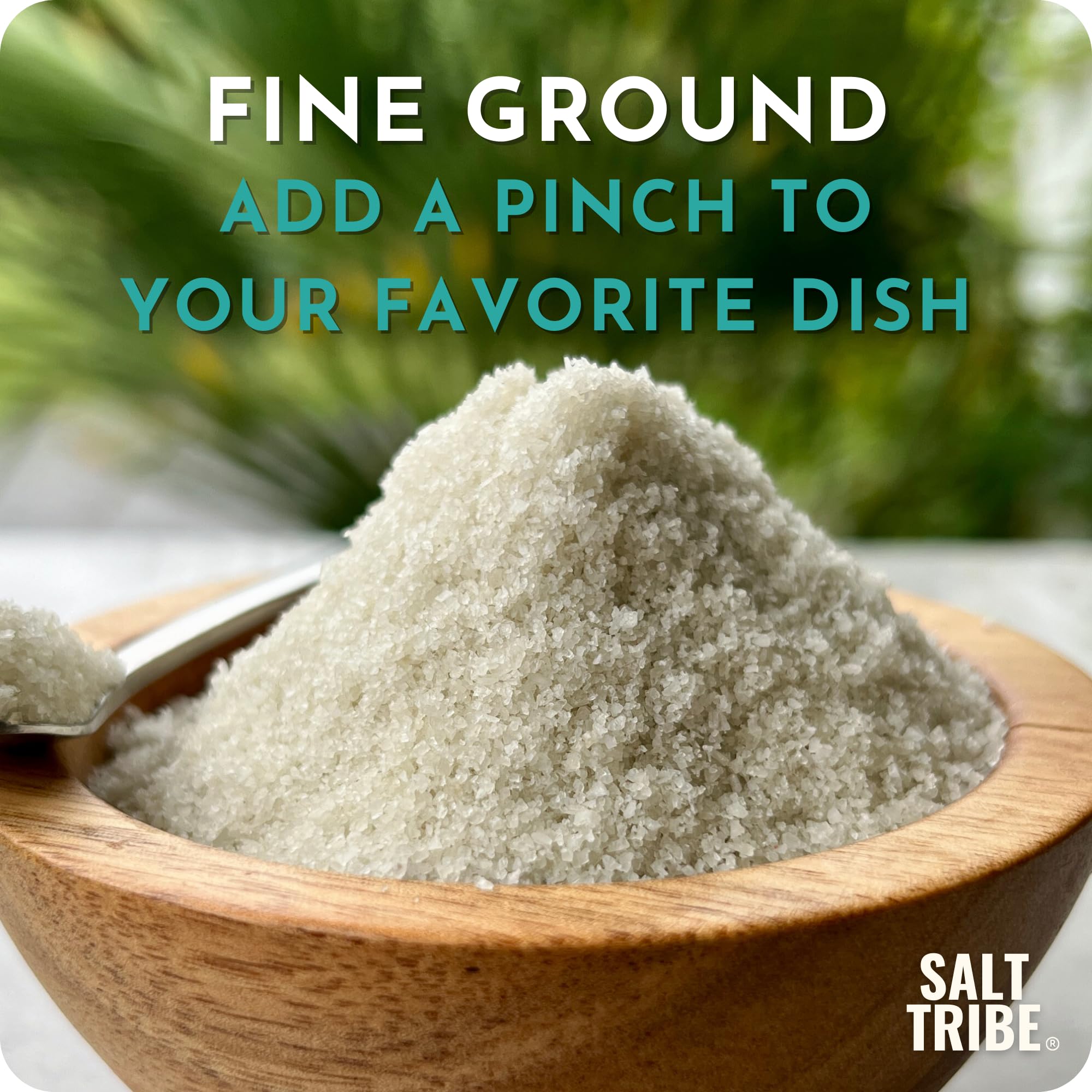 Salt Tribe French Grey Sea Salt | Fine Ground | 82 Minerals | Hand Harvested Brittany France | Low Sodium Unrefined | Sel Gris | Sal Organica | Single