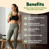 Melting Forest Mushroom Matcha Powder with 7 Functional Mushrooms, Reishi & Lion’s Mane, Adaptogen Blend (30 Servings)
