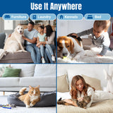 Bioclean Pet Carpet Cleaner & Deodorizer - Eliminates Pet Urine Smell, Stain & Odor Remover, No Residue, Made in USA - 16oz