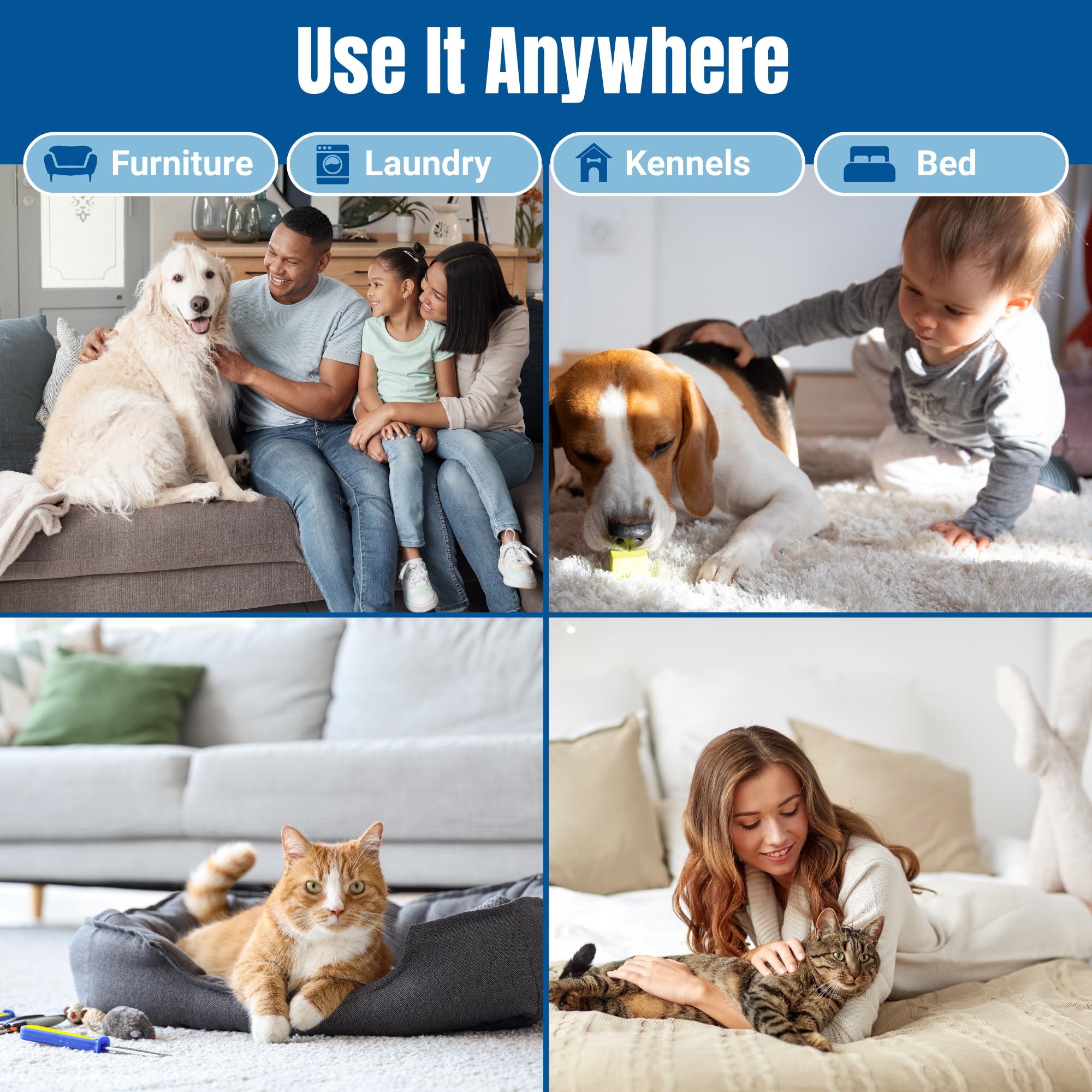 Bioclean Pet Carpet Cleaner & Deodorizer - Eliminates Pet Urine Smell, Stain & Odor Remover, No Residue, Made in USA - 16oz