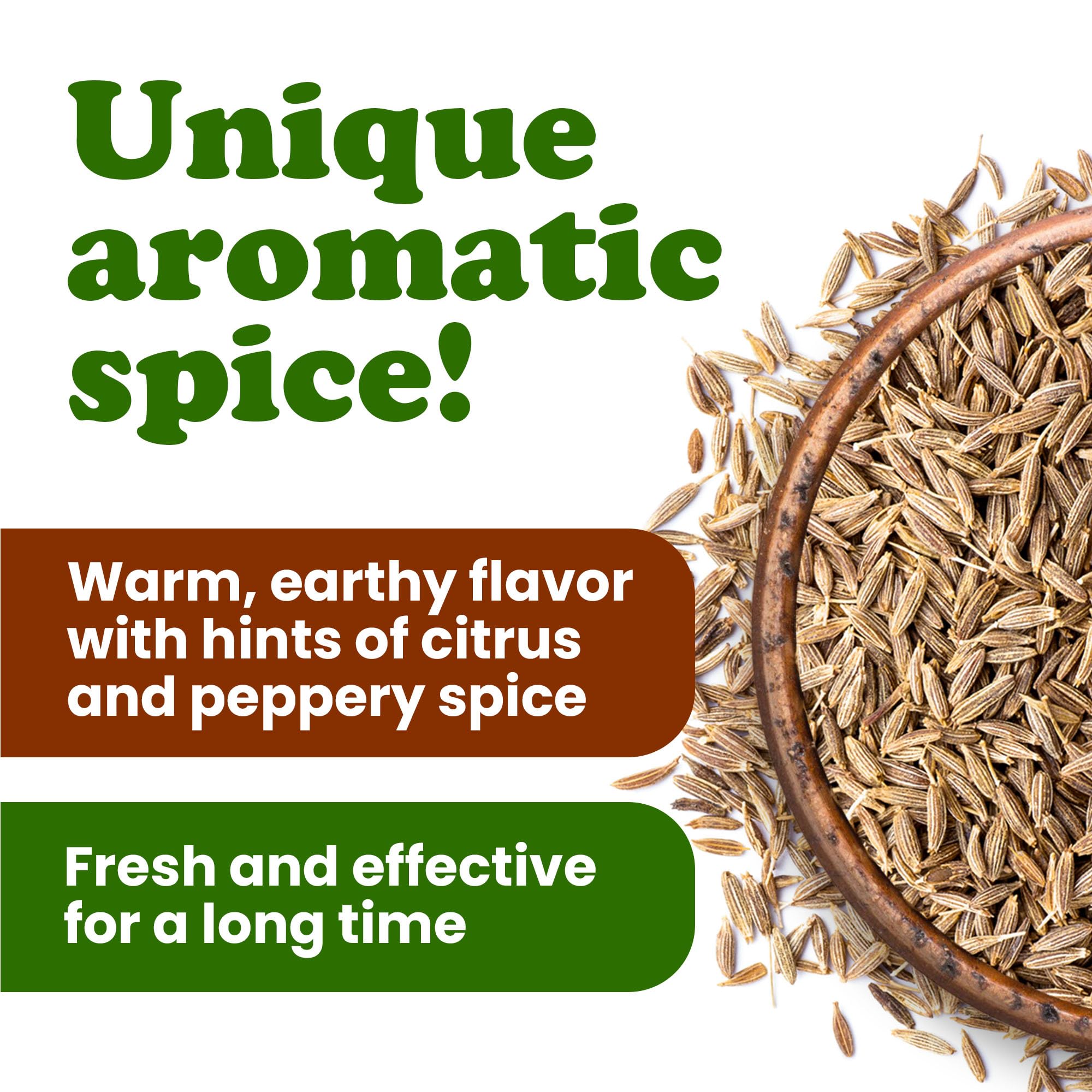 Food to Live Organic Cumin Seeds, 3 Pounds - 100% Natural, Non-GMO, Aromatic Seasoning, Perfect for Spices, Baking and Pickling, Vegan, Kosher, Bulk