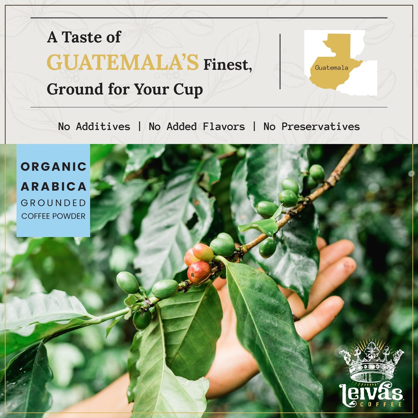 Leiva’s Medium Roast Ground Coffee (8 Oz) - Freshly Roasted, Single Origin Guatemalan Beans - Abuela Reina Coffee Grounds w/Vanilla, Blueberries