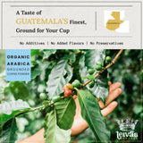 Leiva’s Medium Roast Ground Coffee (8 Oz) - Freshly Roasted, Single Origin Guatemalan Beans - Abuela Reina Coffee Grounds w/Vanilla, Blueberries