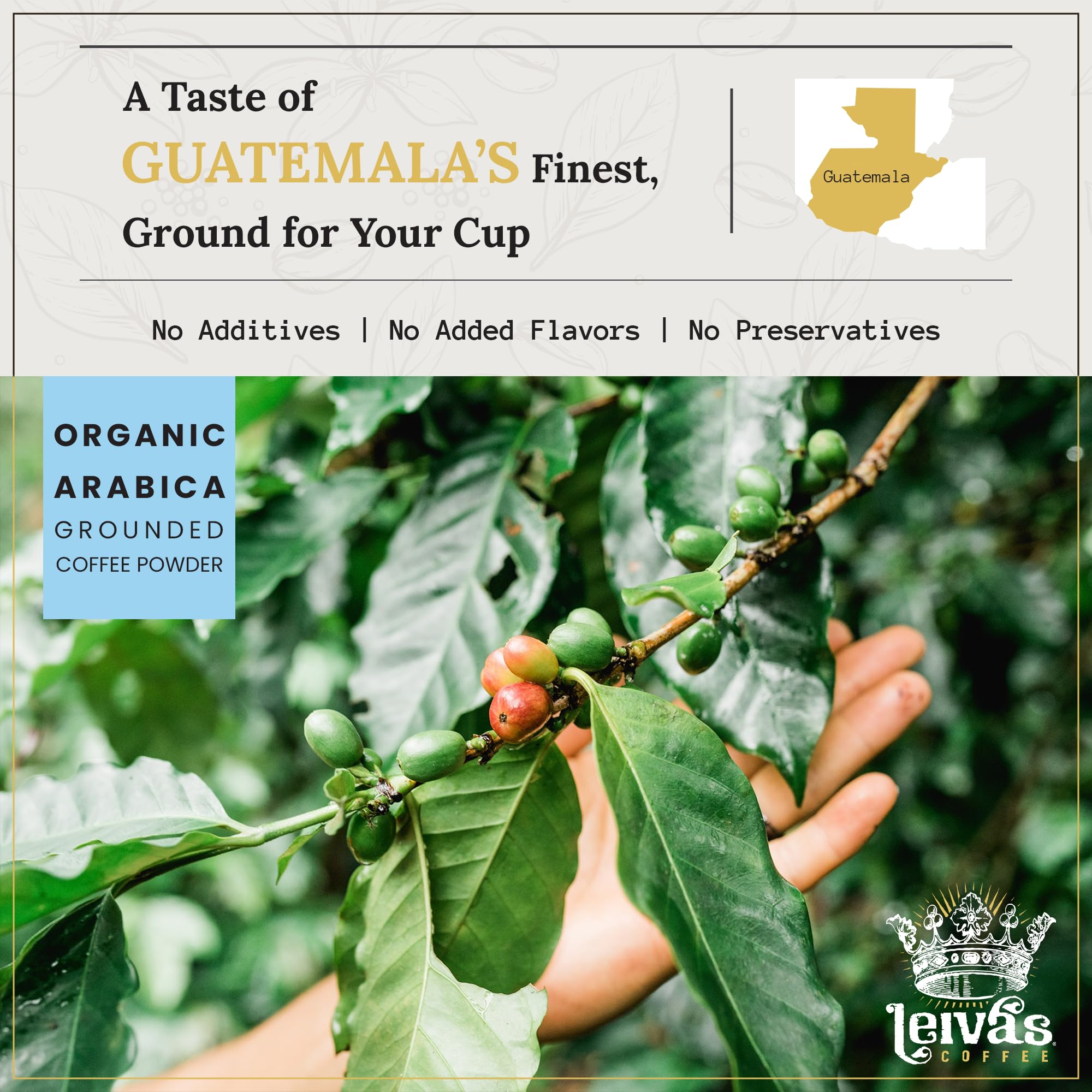 Leiva’s Medium Roast Ground Coffee (8 Oz) - Freshly Roasted, Single Origin Guatemalan Beans - Abuela Reina Coffee Grounds w/Vanilla, Blueberries