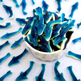 Blue Gummy Sharks Candy, 1 Pound Bulk Bag, The Hampton Popcorn & Candy Company