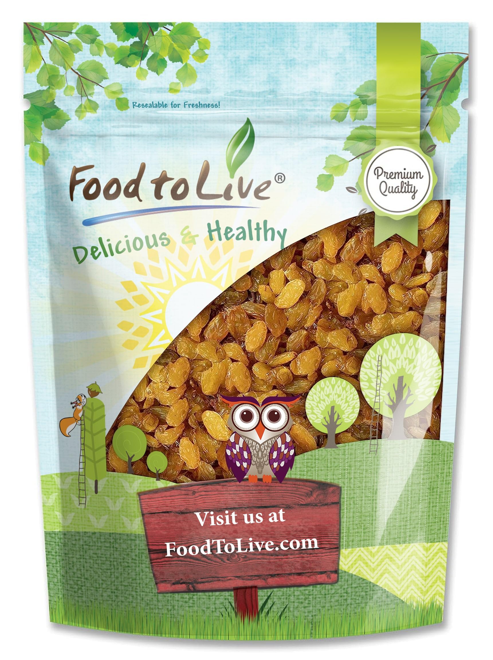 Food to Live California Jumbo Golden Raisins, 12 Ounces - Seedless, Sun-Dried, No Added Oil, No Added Sugar, Kosher, Vegan, Raw, Bulk