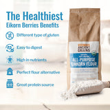 Grand Teton Ancient Grains - 100% Organic All-Purpose Einkorn Flour, Einkorn Flour Organic & Non-GMO, Einkorn Flour, Rich in Vitamins & Minerals