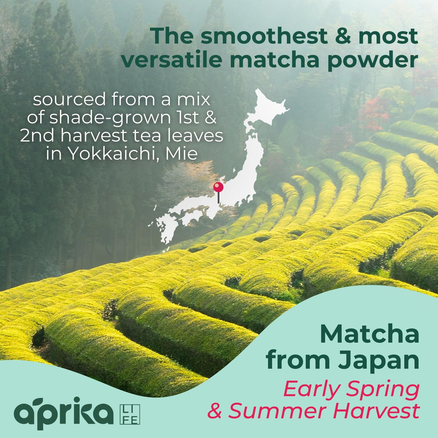 AprikaLife Matcha Powder from Japan, USDA and JAS Organic Matcha Green Tea Powder, No Sugar Added, Perfect for Matcha Latte, Japanese Green Tea