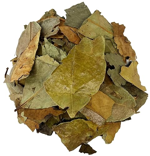 Soursop Leaves Hojas de Guanabana Herbal Tea Value Pack (105g)