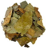 Soursop Leaves Hojas de Guanabana Herbal Tea Value Pack (105g)