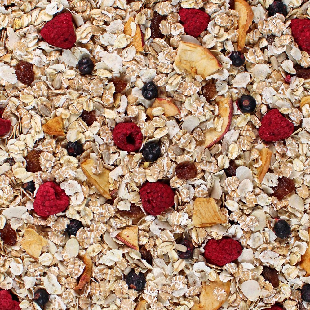 Seitenbacher Muesli #2 Berries Temptation, 16 Ounce (6-Pack)