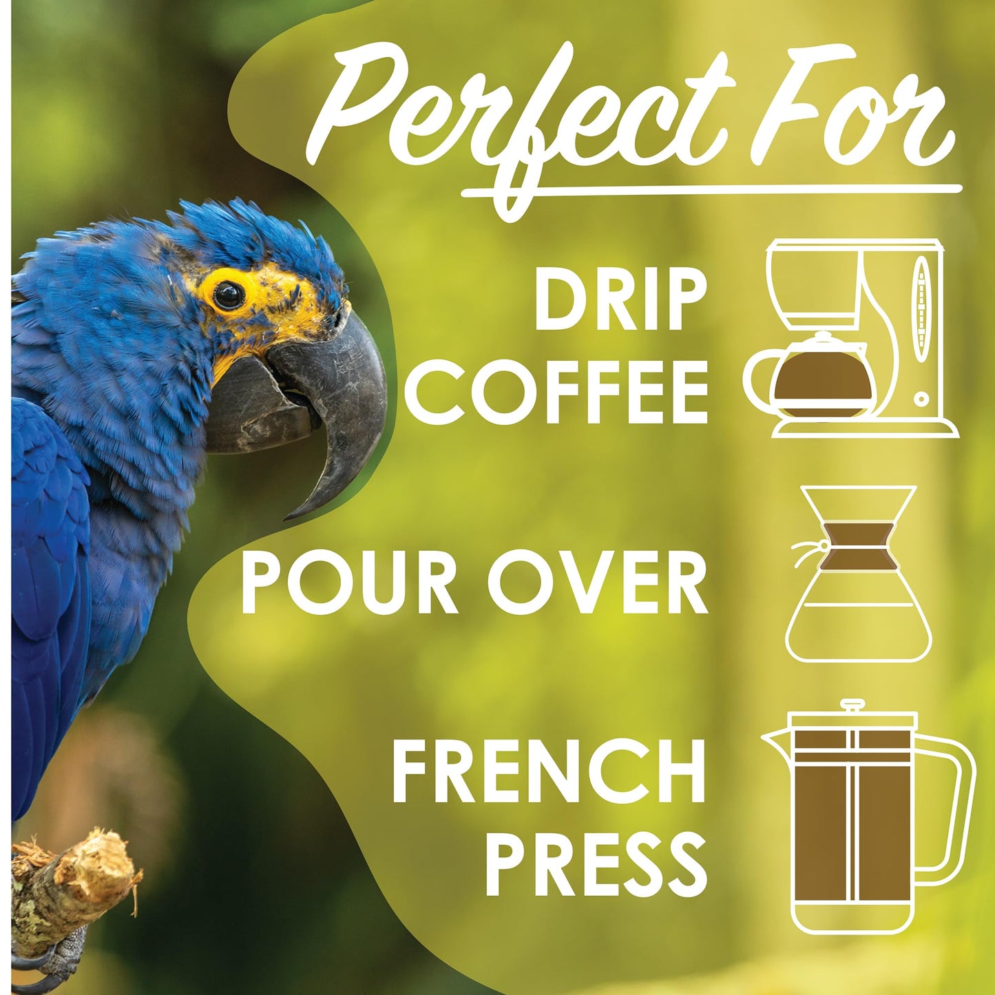 Magnum Exotics Coffee Blonde Costa Blend - Light Roast, Whole Bean Coffee, Made from 100% Arabica Beans, Rich & Smooth Flavor, Fresh Roast - 12 Oz Bag