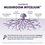Host Defense MycoBrew Coffee - Instant Drink Mix - Includes Lion's Mushroom - Drink Mix with 100% Arabica Instant Coffee - Awaken and Activate, 10
