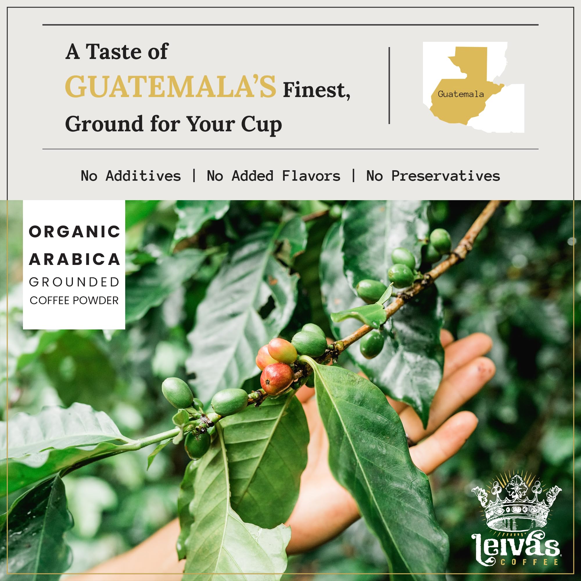 Leiva’s Medium Roast Espresso Ground (8oz), Freshly Roasted, Micro-Lot Guatemalan Coffee Beans - Don Armando Espresso Coffee Ground w/Chocolate