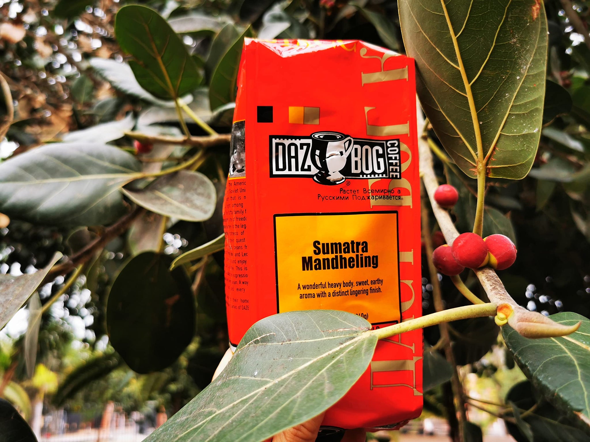 Dazbog Coffee Sumatra Single Origin Ground 11 oz. Strong, Sweet & Earthy Aroma Exotic, Heavily-Bodied Blend Smooth Finish Vacuum Sealed Freshness