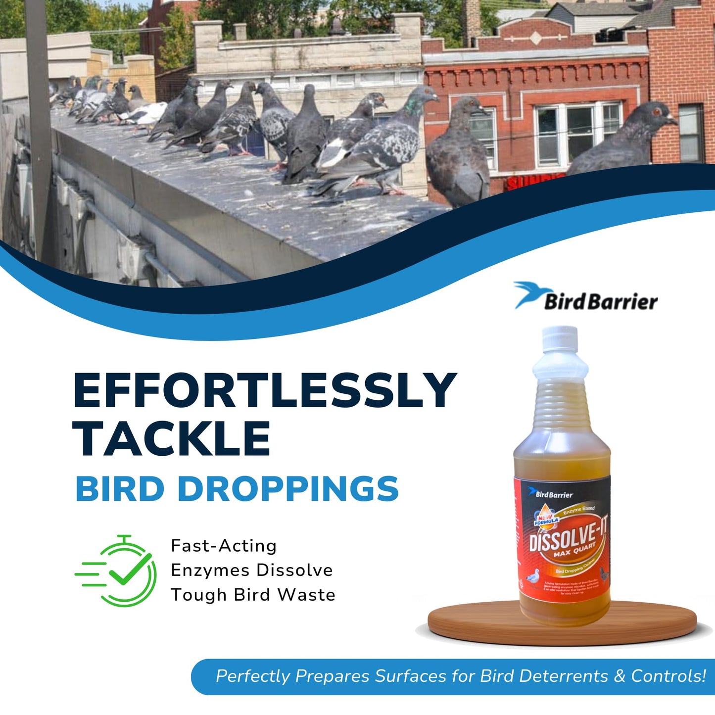 Bird Barrier Product image Dissolve-It Enzyme Cleaner Concentrate |1 Quart Ready to use | Bird Dropping Remover, Pet Urine & Odor Eliminator