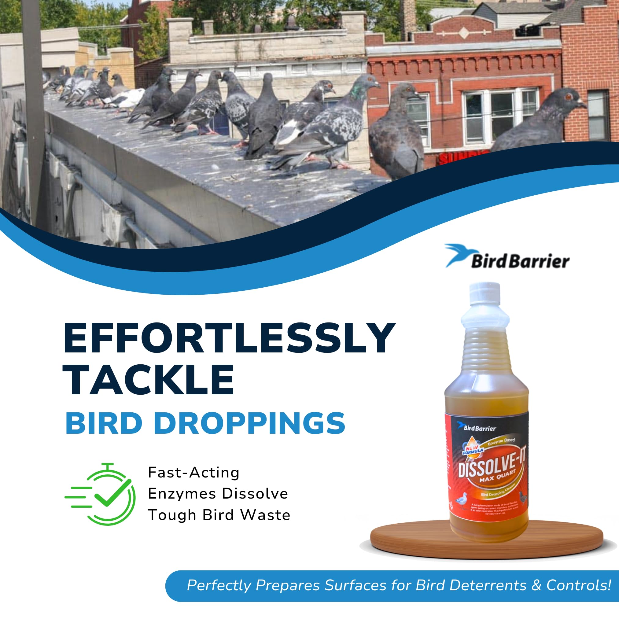 Bird Barrier Product image Dissolve-It Enzyme Cleaner Concentrate |1 Quart Ready to use | Bird Dropping Remover, Pet Urine & Odor Eliminator