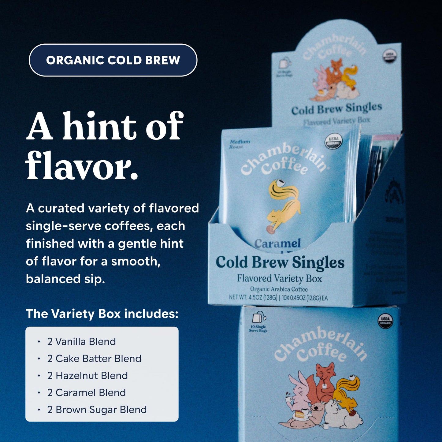 Chamberlain Coffee Flavored Variety Cold Brew Singles Medium Roast - USDA Organic, 10 Single Serve w/Different Flavors - Arabica Coffee - Smooth, Rich