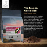 Diving Moose Coffee - The Toucan Costa Rica Terrazu Morning Roast Medium Dark Roast Breakfast Blend (16oz / 1 LB) - Orange Lemon Honey Specialty Grade