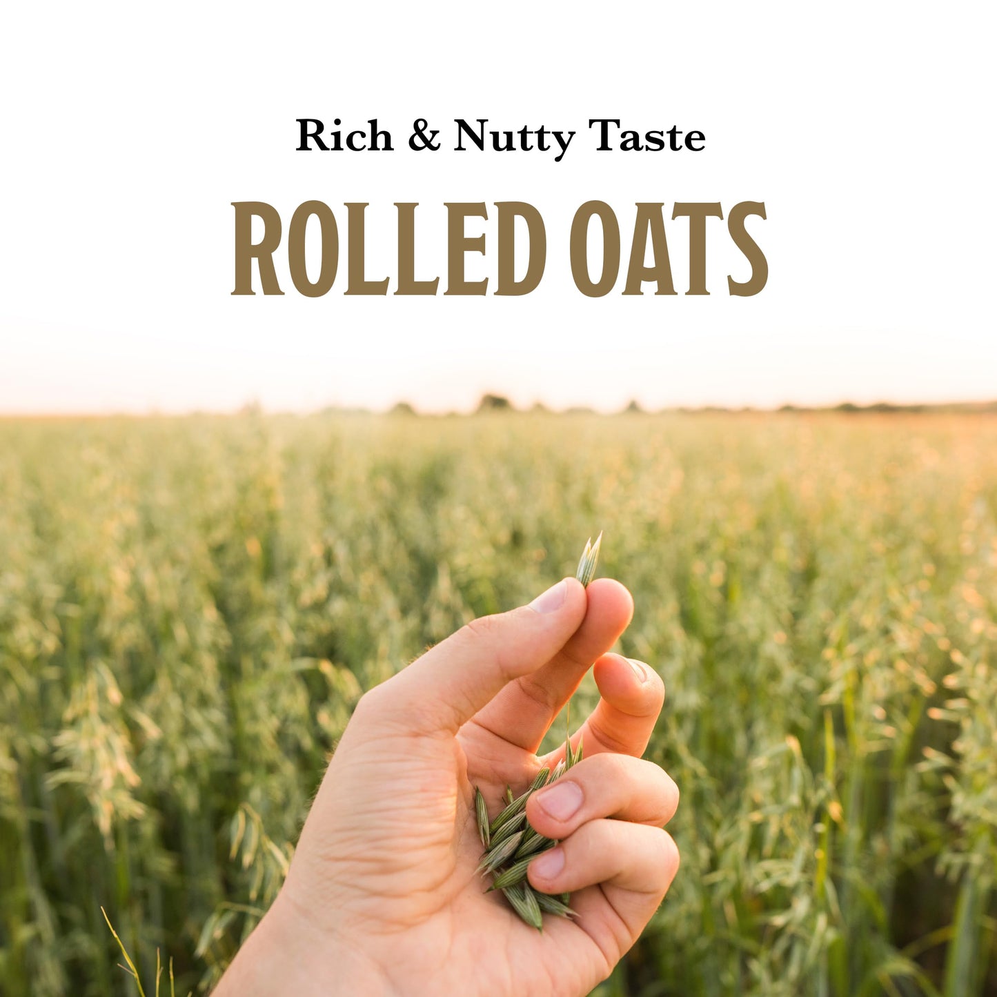 McCann's Irish Oatmeal, Quick Cooking Rolled Oats, 16 Ounce