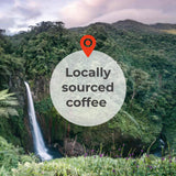 Coffee from Mexico, Medium Roast Whole Beans, by Liquid Gold Coffee, 1 Bag (12 OZ) (340 Grams), Single Origin Specialty Coffee, 100% Arabica , Local