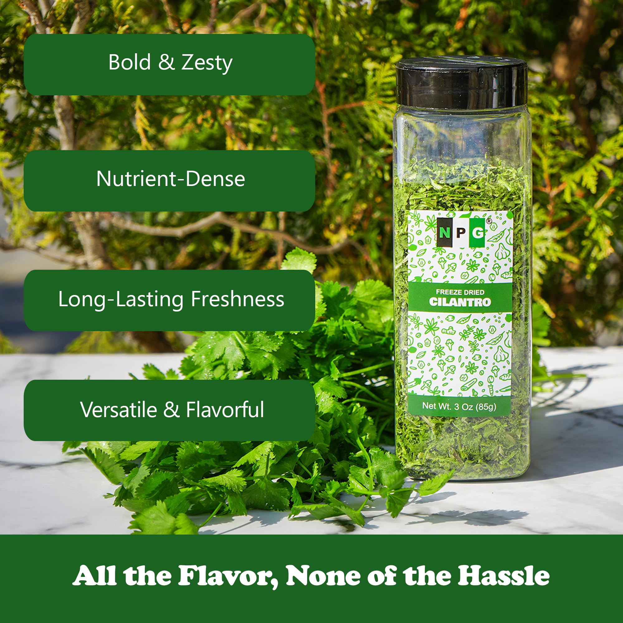 NPG Freeze-Dried Cilantro 3 Oz, Fresh Dehydrated Coriander Flakes, Dhania Leaves, Lime Seasoning, Mexican Spices, Perfect for Cooking, Soups, Salsas