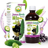 BASIC AYURVEDA Jamun Karela Herbal Mix Juice with Holy Basil | 16.23 Fl Oz (480ml) | Natural Indian Black Berry & Bitter Gourd Juice | Plant-Based
