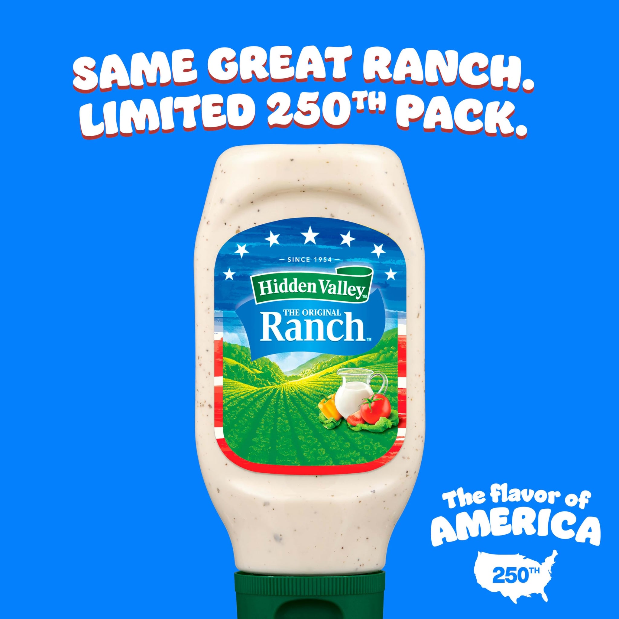 Hidden Valley Original Ranch Condiment and Dressing, Easy Squeeze Bottle, 24 Fl Oz (Package May Vary)
