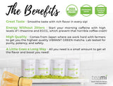 Teami Matcha Green Tea Powder - with Real Mango - Ceremonial Grade USDA Organic - Best for Lattes, Smoothies, Baking, Recipes, Traditional Preparation