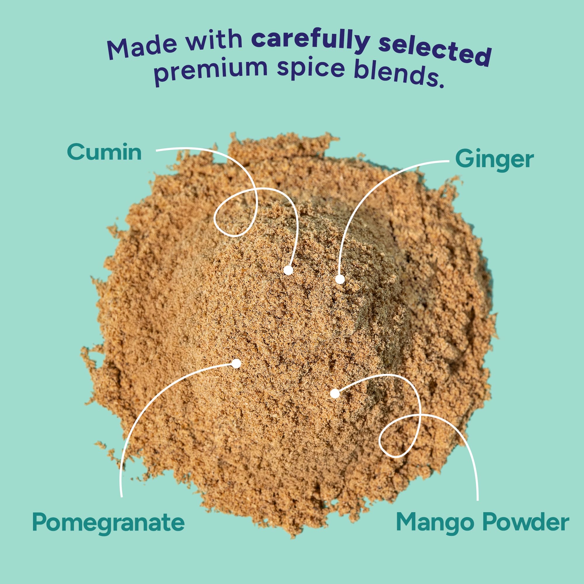 Fadwa Masala Chaat Masala Spice Mix - 4.5 oz Jar, Salt & Sugar Free, Non-Spicy Authentic Desi Spices for Pakistani & Indian Cooking, Curry, Garam