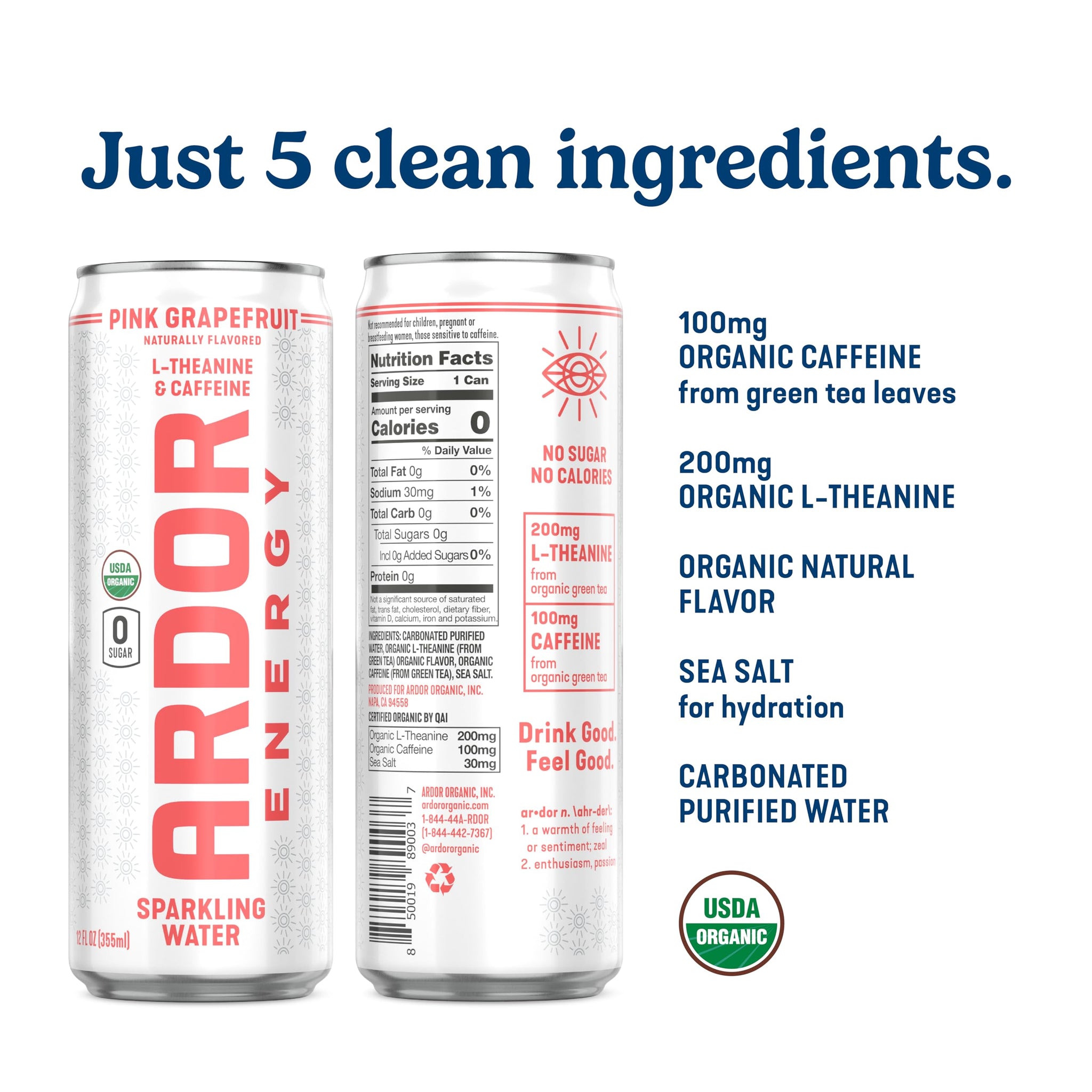 ARDOR ENERGY Sparkling Water with 100mg Natural Caffeine & 200mg L-Theanine from Organic Green Tea for Smooth Energy & Focus | Healthy Energy Drink |