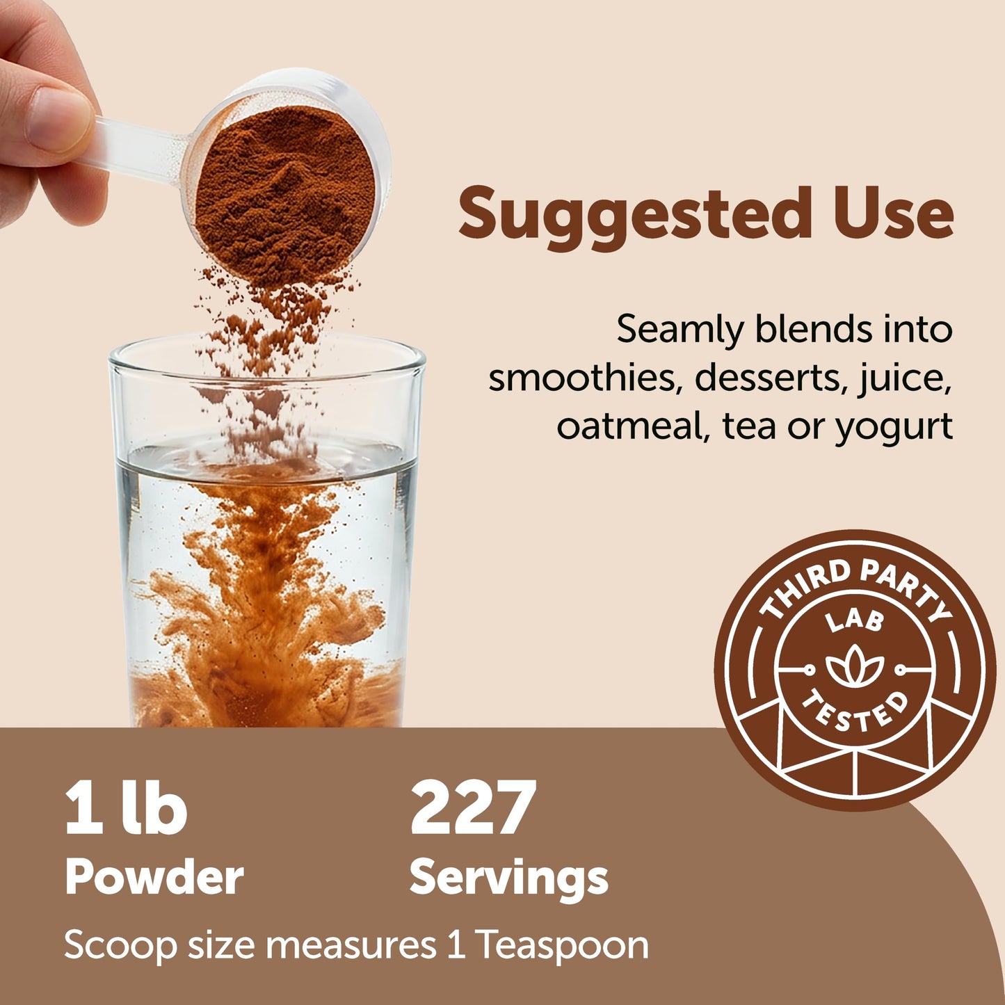 Micro Ingredients Organic Ceylon Cinnamon Powder, 1 lb | Sri Lanka Source | True Cinnamon for Spice & Seasoning | Great for Baking, Cooking, & Drinks