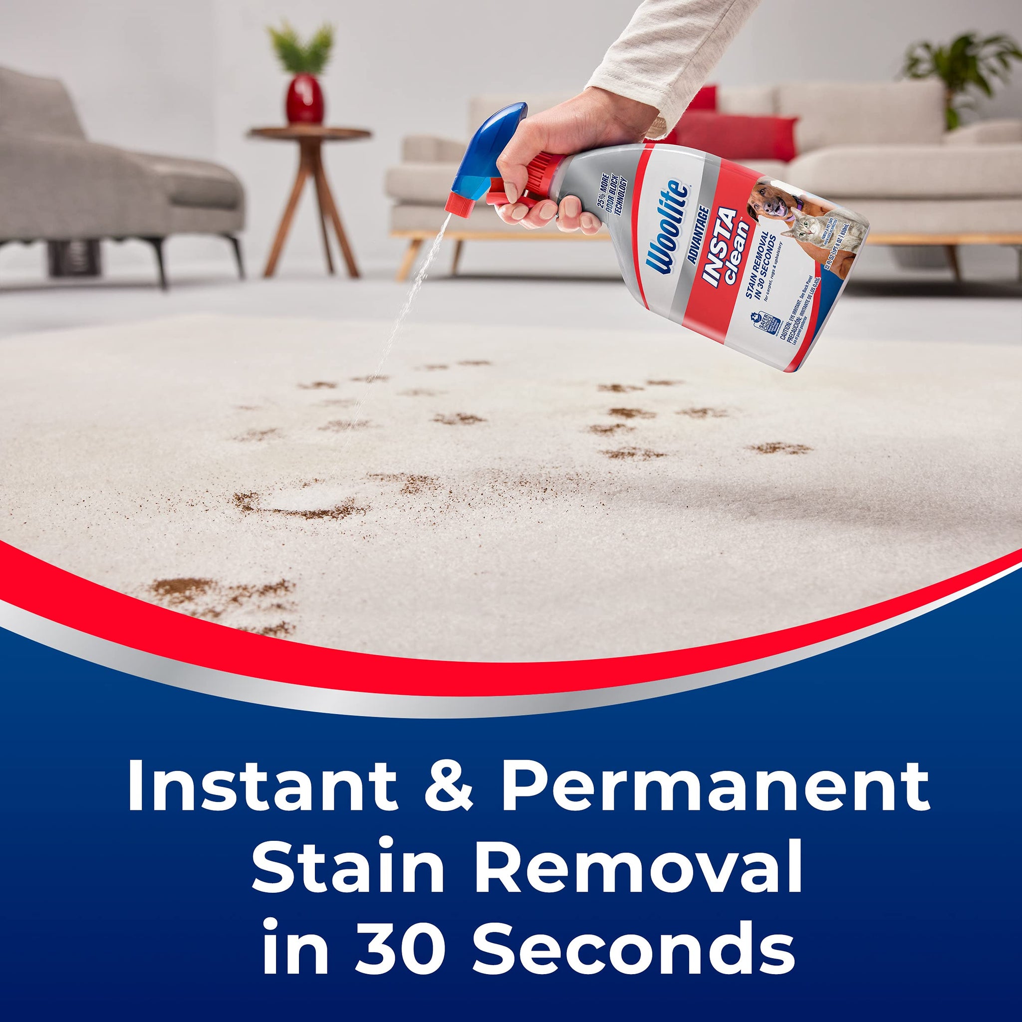 Woolite® Advantage INSTAclean™ Pet Stain Remover - 2 Pack, 3322