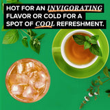 TAZO Organic Refresh Mint Herbal Tea Bags with Peppermint and Spearmint, Caffeine Free, 16 Total Tea Sachets