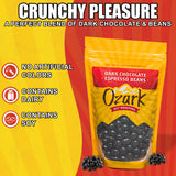 OZARK NUT ROASTERS, Dark Chocolate Espresso Beans, Coffee-Flavored Snacks, World-Class Gourmet Dark Chocolate Coffee Beans, 14 oz, Pack of 1